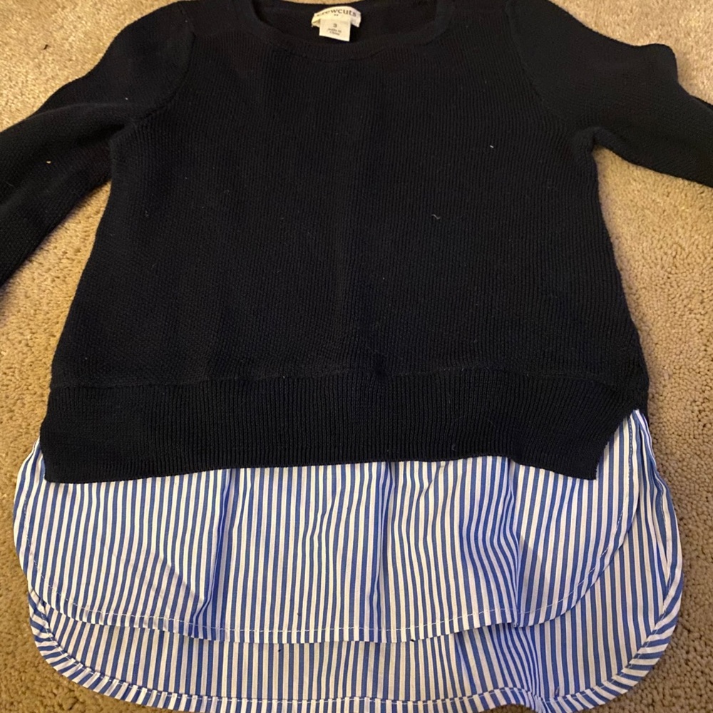 J. Crew sweater shirt